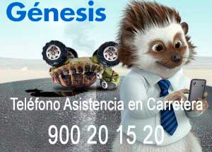 Asistencia en Carretera Génesis